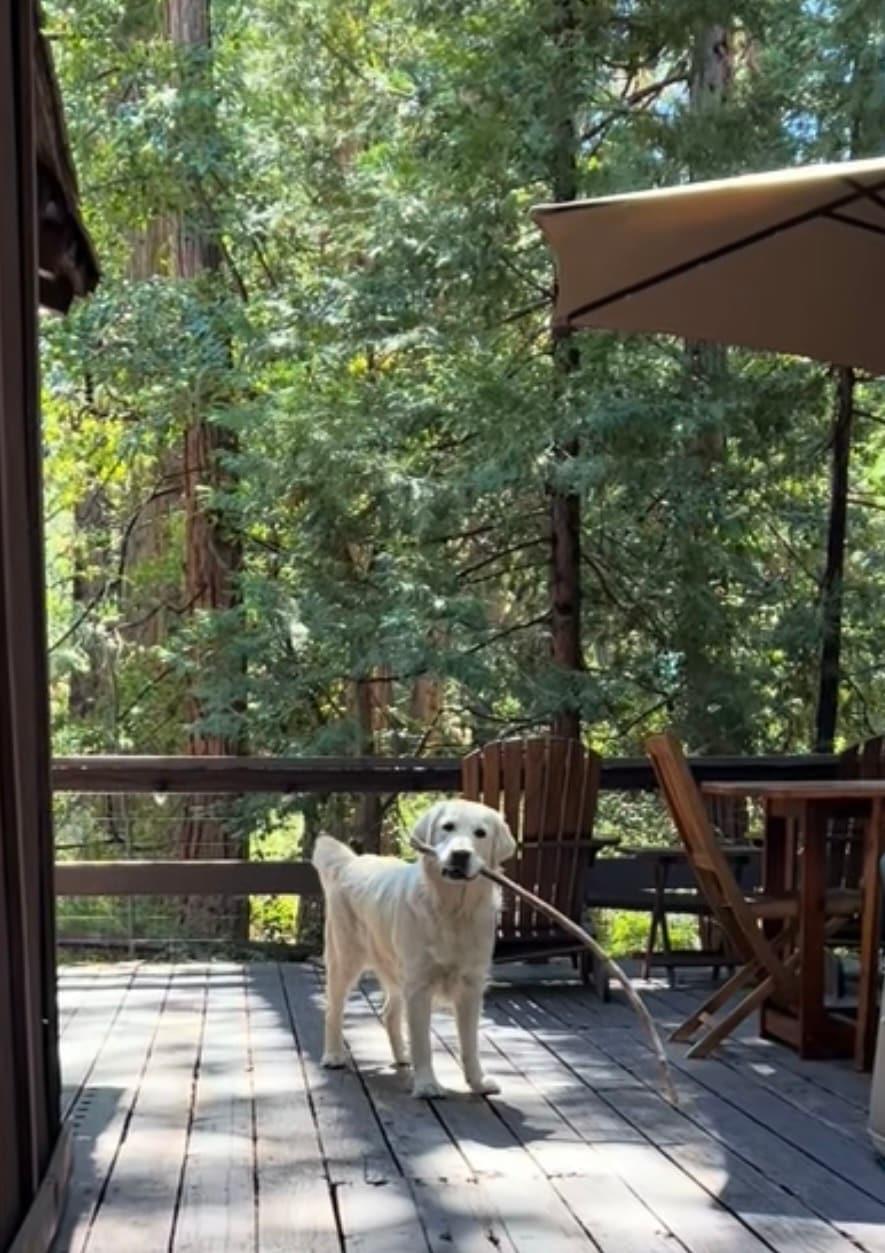 Strawberry Creek Home